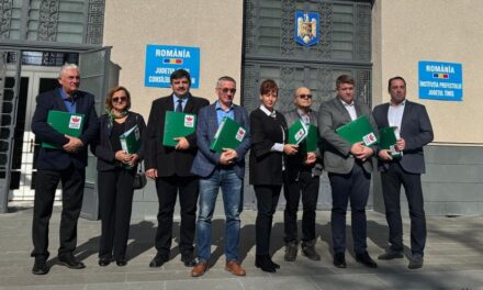 Temes megyei RMDSZ: Győzzön a józan ész! Vigyük vissza a bánsági magyarok hangját a parlamentbe!