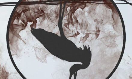 MÉLYREPÜLÉS – bemutatóra készül a temesvári Csiky Gergely Állami Magyar Színház