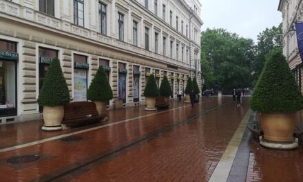 Temesvár is csatlakozott a projekthez – A klímaváltozáshoz jobban alkalmazkodó városi zöldterületek kialakítása indul el Szegeden