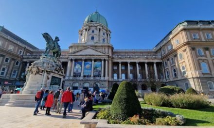 Budapest100 – Rekordmennyiségű ház- és közösségi kert nyitja meg idén a kapuit