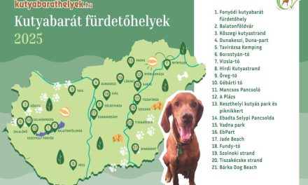 Magyarország – Idén már 21 kutyabarát strand és fürdetőhely várja a kutyásokat