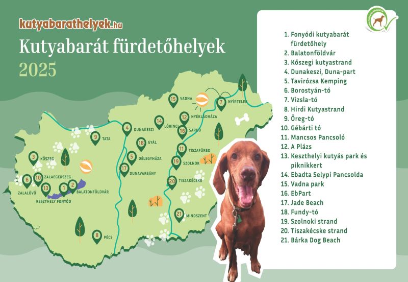 Magyarország – Idén már 21 kutyabarát strand és fürdetőhely várja a kutyásokat