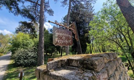 A városi kertészkedést népszerűsítő program indult Temesváron és Szegeden